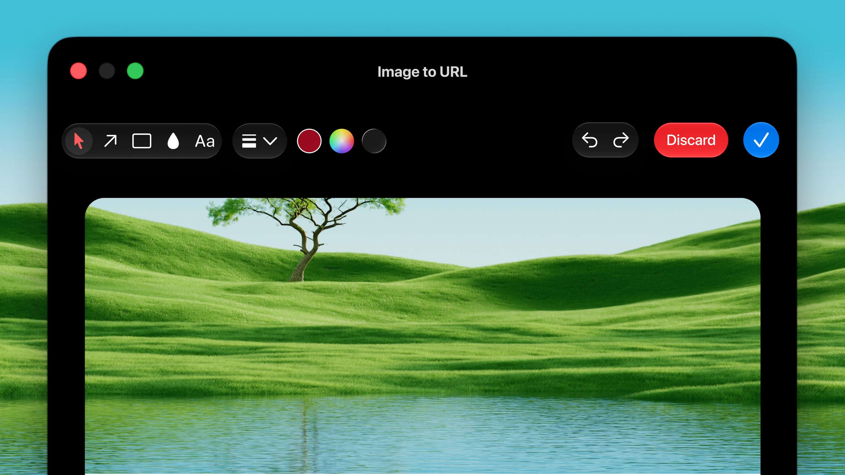 Image to URL screenshot